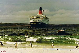 Falklands.jpg